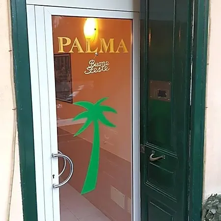 Palma 3*
